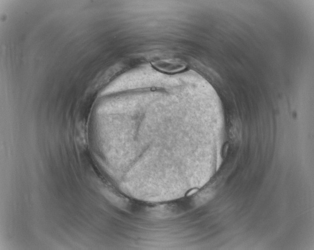 X0000078230430200611251219