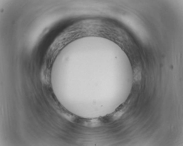 X0000078230431200611251218