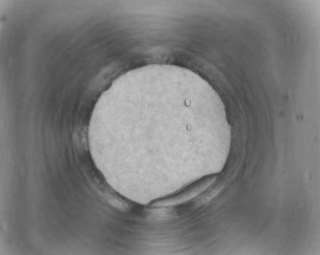 X0000078230432200611251218