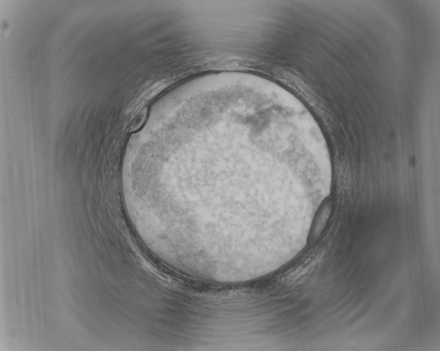 X0000078230433200611251218