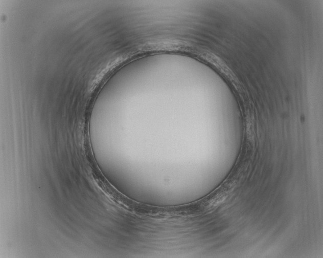 X0000078230434200611251218