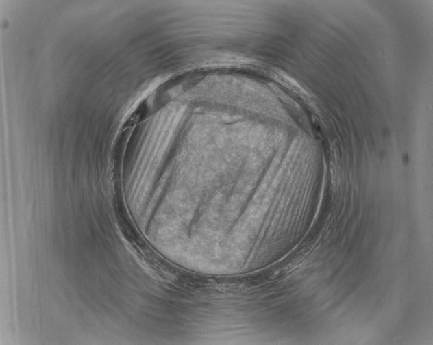 X0000078230436200611251218