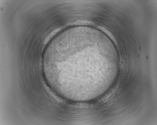 X0000078230437200611251218