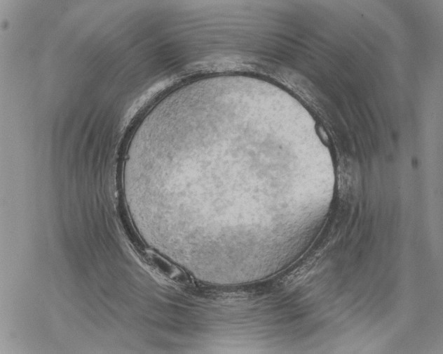 X0000078230438200611251218