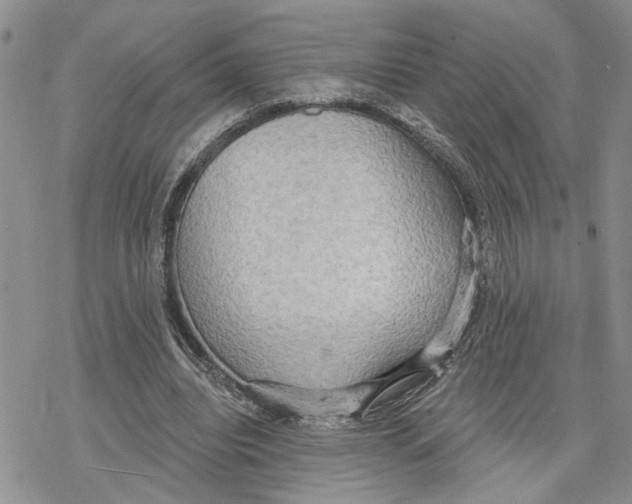 X0000078230440200611251218