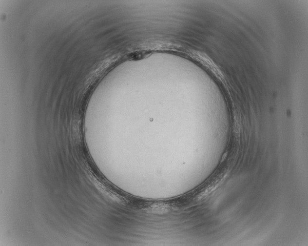 X0000078230441200611251218