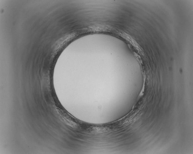 X0000078230442200611251218