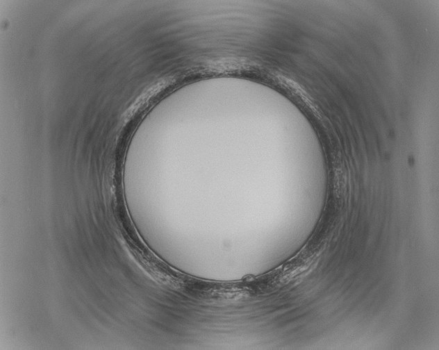 X0000078230443200611251218