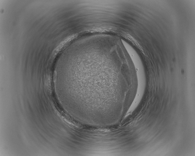 X0000078230444200611251218