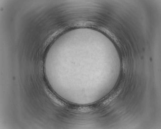 X0000078230445200611251218