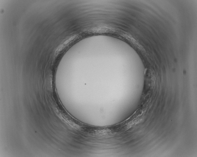 X0000078230446200611251218