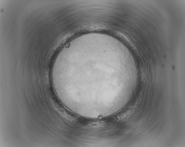 X0000078230447200611251218