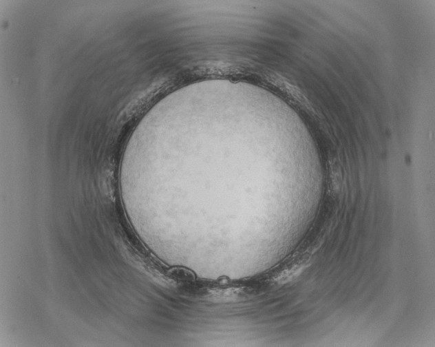 X0000078230450200611251218