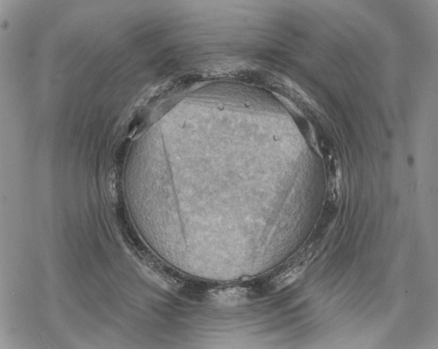 X0000078230452200611251218