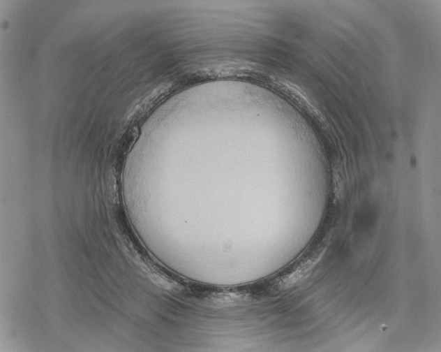 X0000078230453200611251218