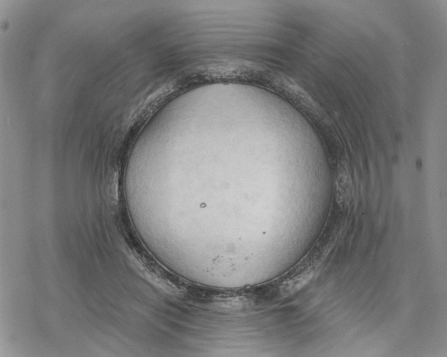 X0000078230454200611251218