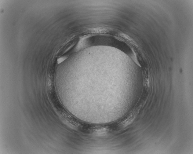 X0000078230456200611251218