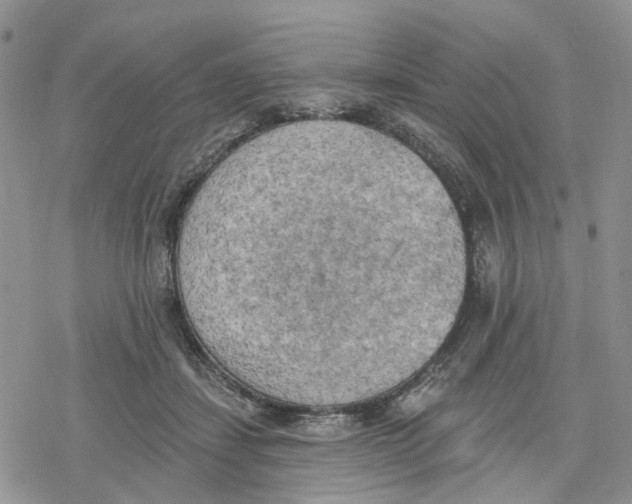 X0000078230459200611251218