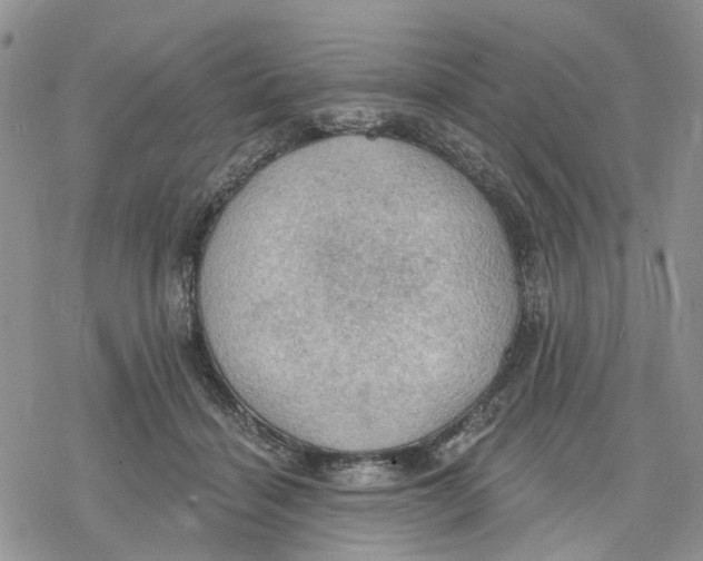 X0000078230460200611251218