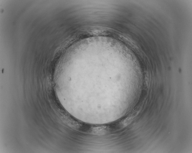 X0000078230461200611251218