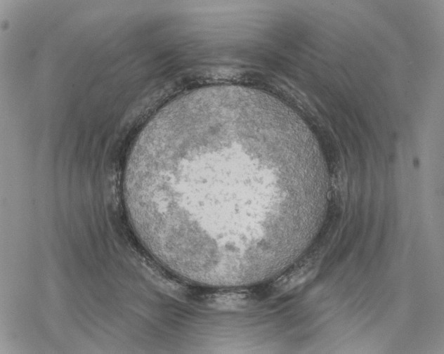 X0000078230462200611251218