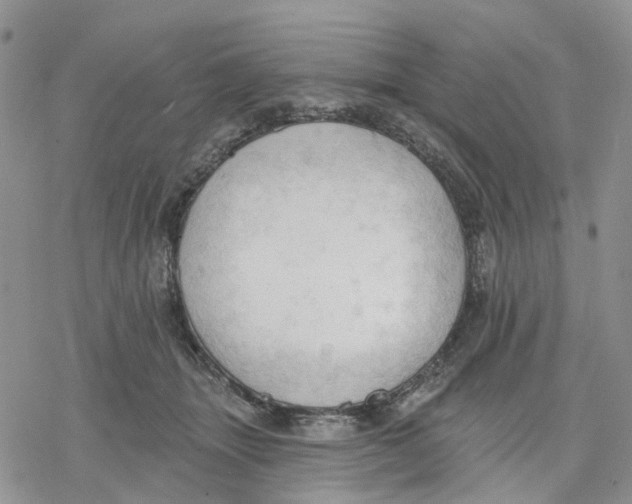 X0000078230463200611251218