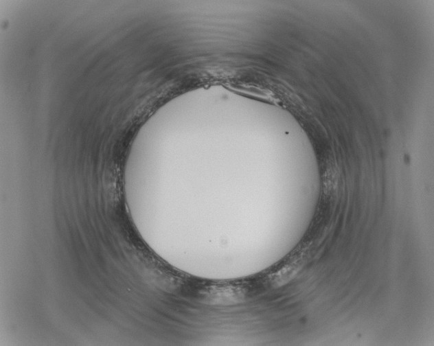 X0000078230464200611251218