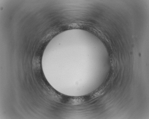 X0000078230466200611251218