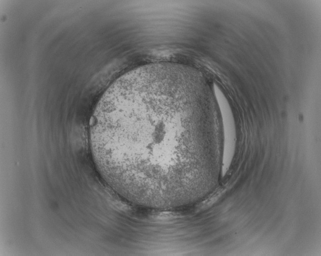 X0000078230467200611251218