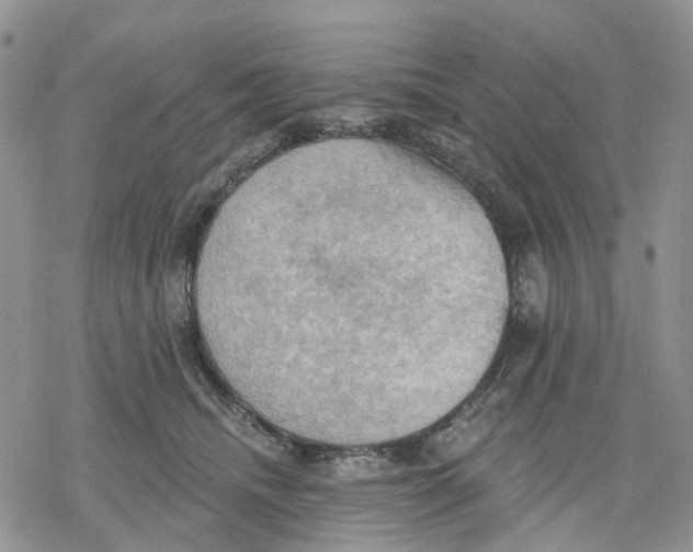 X0000078230468200611251218