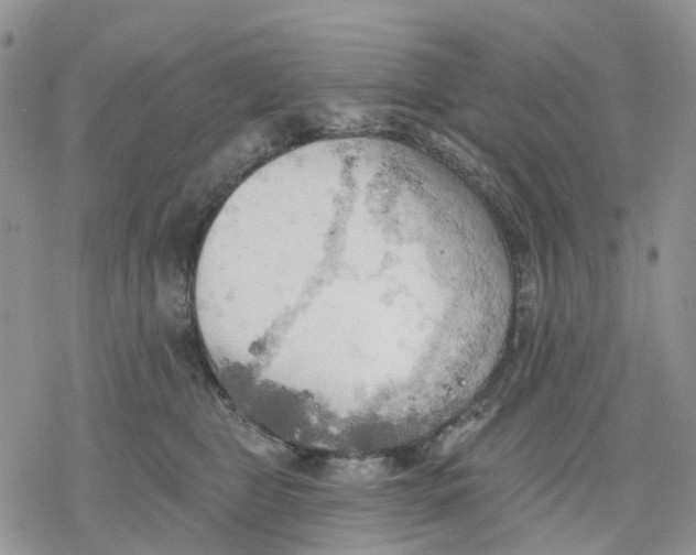 X0000078230469200611251218