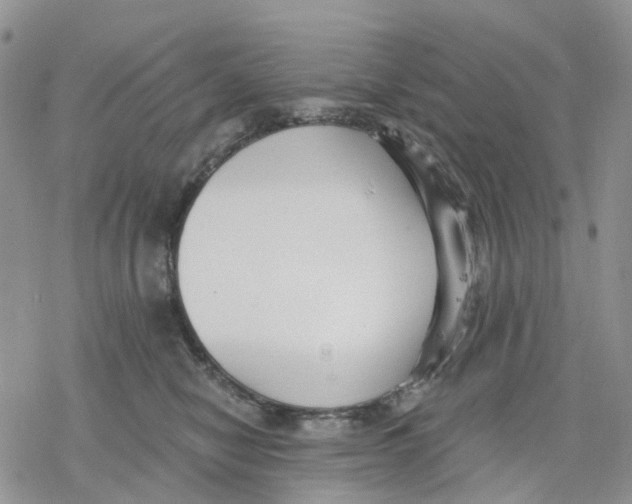 X0000078230470200611251218