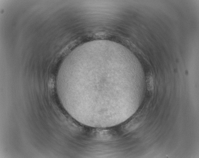 X0000078230472200611251218