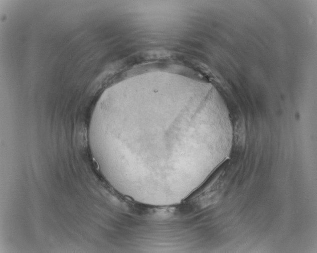 X0000078230474200611251218