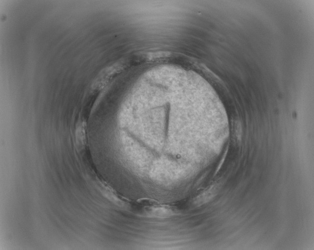 X0000078230475200611251218