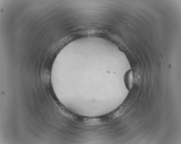 X0000078230476200611251218