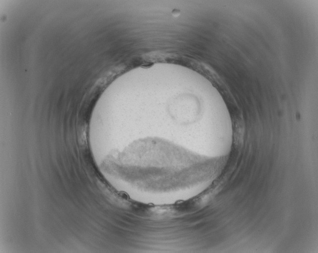 X0000078230477200611251218