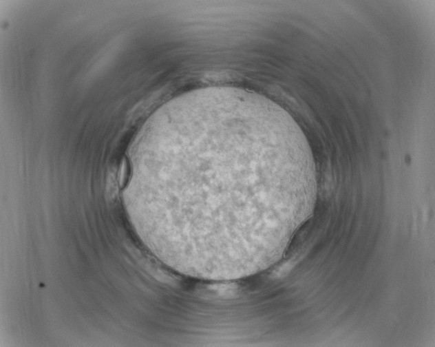 X0000078230478200611251218