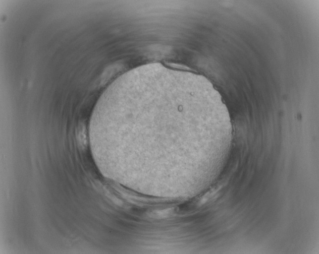 X0000078230479200611251218