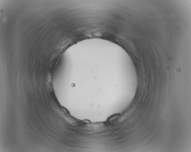 X0000078230480200611251218