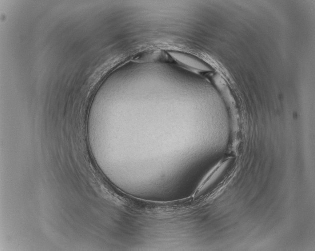 X0000078230481200611251218