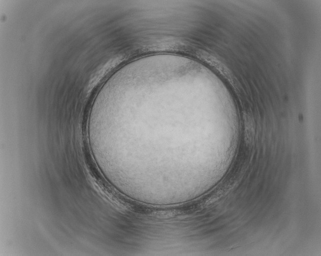 X0000078230482200611251218