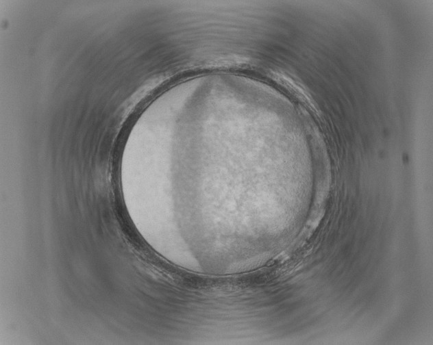 X0000078230483200611251218