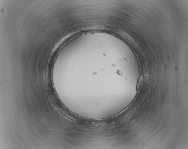 X0000078230484200611251218