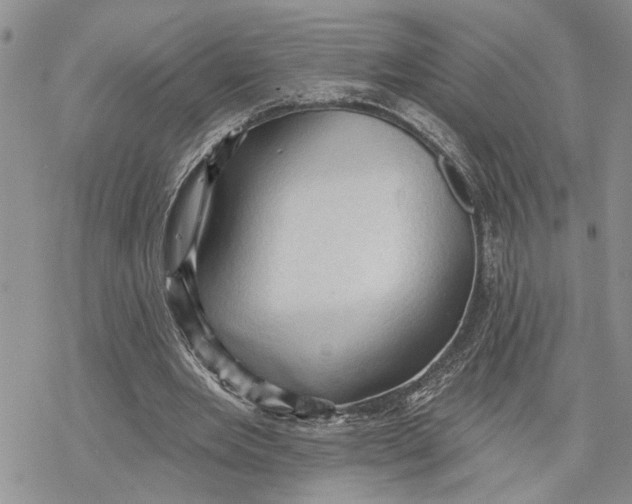 X0000078230485200611251218