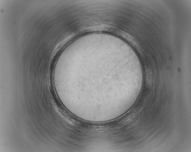 X0000078230486200611251218