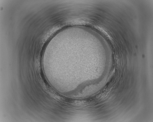 X0000078230487200611251218