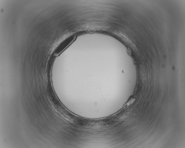 X0000078230488200611251218