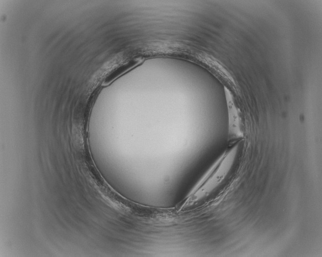 X0000078230489200611251218