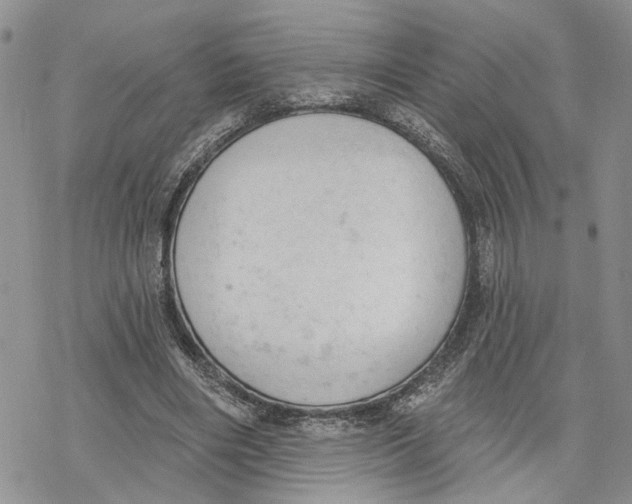 X0000078230490200611251218